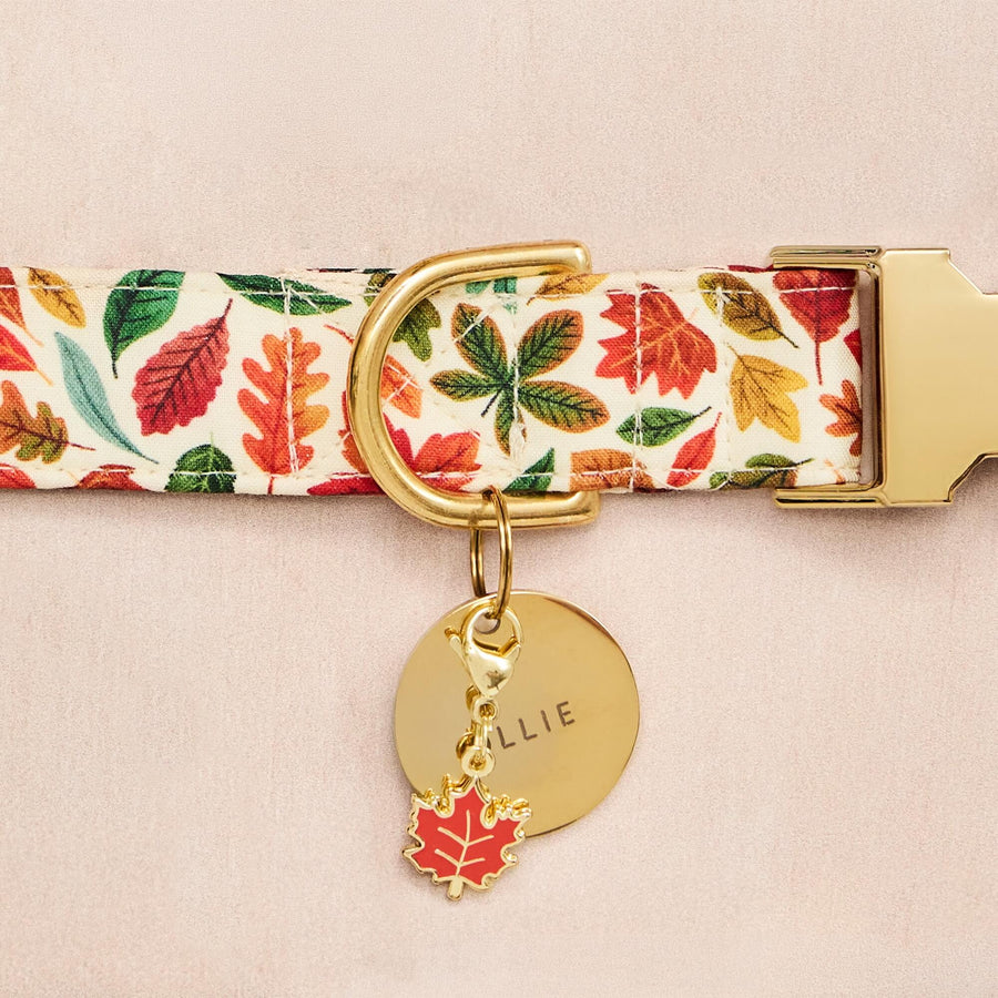 Charms + ID Tags