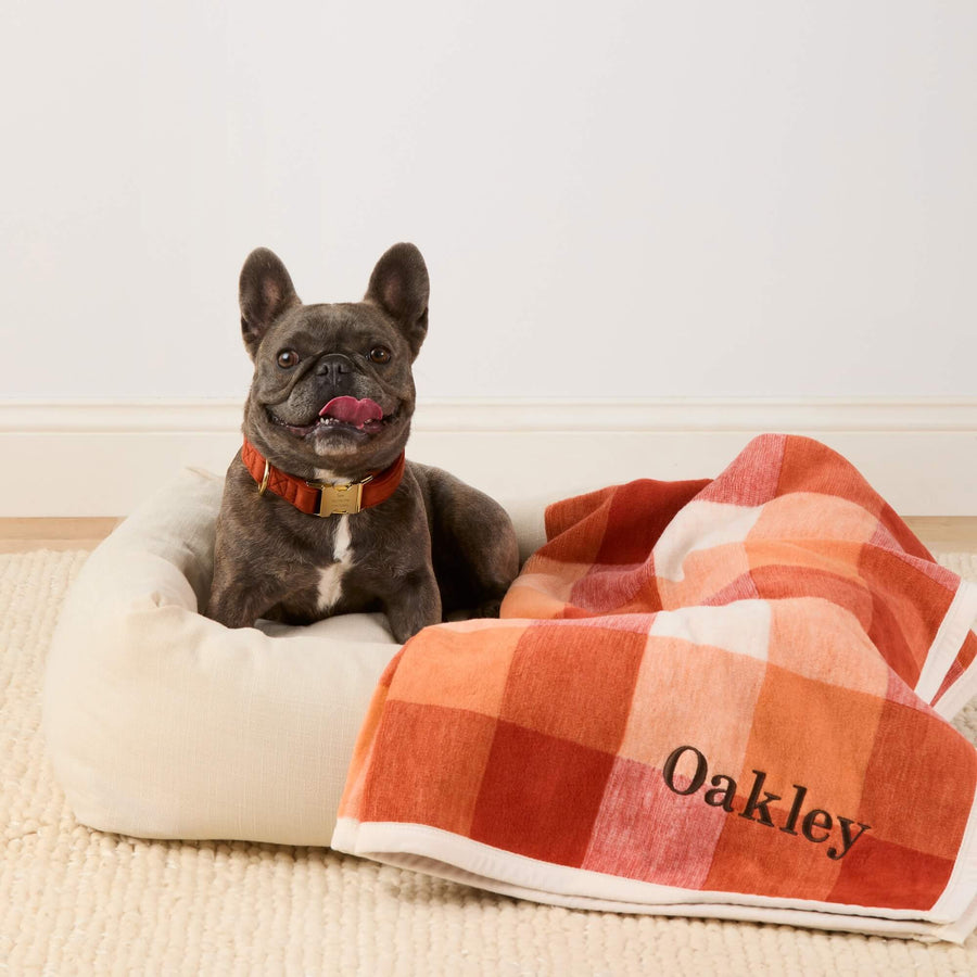 New! Fall Beds